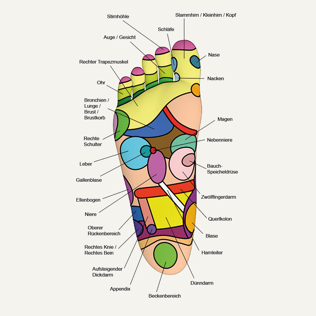 Kleben Sie Ihre Vitalpflaster und Entgiftungspflaster auf die richtigen Reflexzonen.